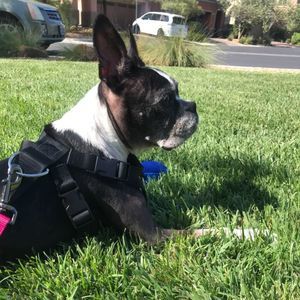 Meet your Posher, Etienne